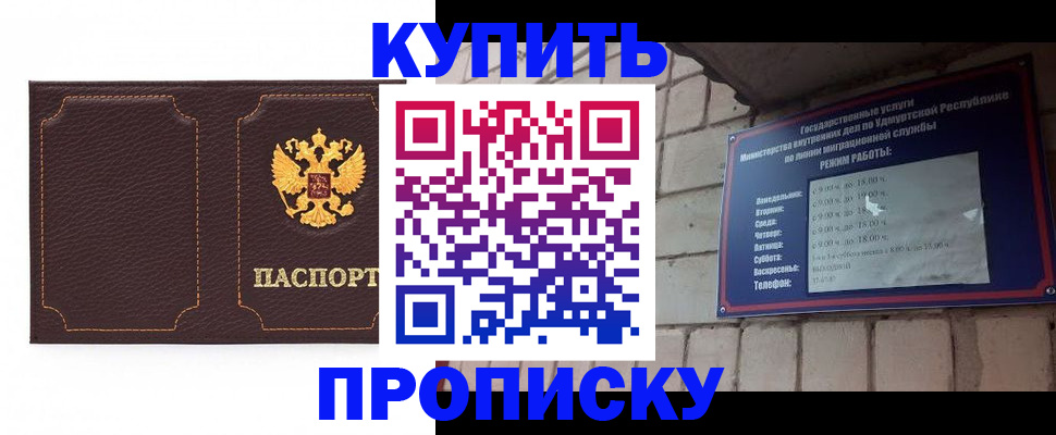 прописка поиск в Звенигово